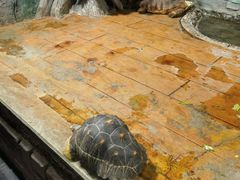 -石家庄市动物园