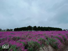 -嘉北郊野公园
