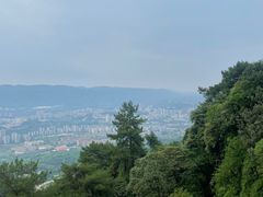 -缙云山景区