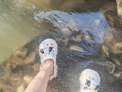 -新洲生态园