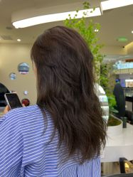 点击看大图 -GANO HAIR