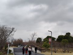 -南湖湿地公园