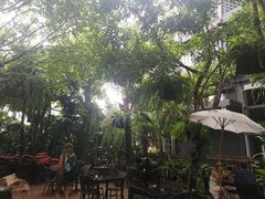 -Fern Forest Cafe