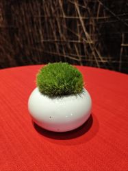 -广州富力君悦大酒店·宴会厅