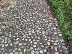 -淇河国家湿地公园