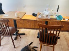 -有猫主题·治愈系猫咖(曾厝垵店)