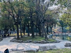 -溱湖国家湿地公园