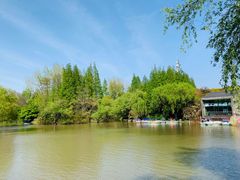-上海滨江森林公园