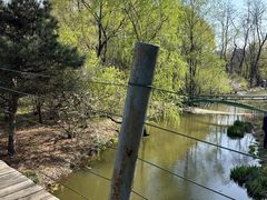 -长白岛森林公园