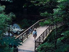 -瓦屋山景区