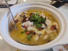 -蜀腾川·火锅鱼.烤鱼(新世界城店)