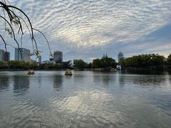 -月湖公园