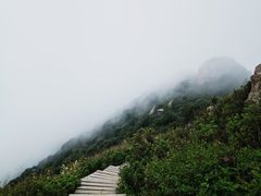 -白草畔自然风景区