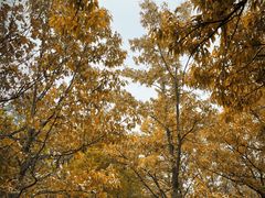 -北京十三陵国家森林公园蟒山景区