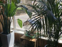 -草原塞蛮羊火锅城(港湾店)