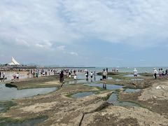 -日照灯塔风景区