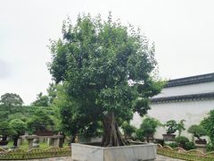 -拙政园