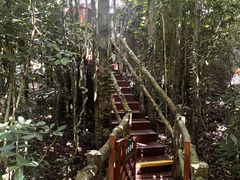 -三亚亚龙湾人间天堂鸟巢度假村