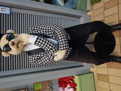 iphone_upload_pic-济州岛泰迪熊博物馆