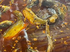 -金海椒罐罐鲢鱼(东方桂苑店)