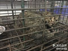 -小塘渔村(开平大道店)