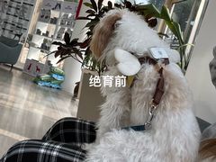 -良伴无忧宠物医院(泰欣嘉园店)
