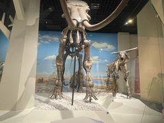 -国家自然博物馆