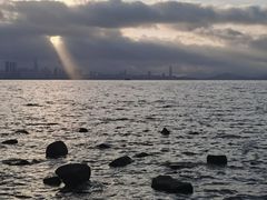 -深圳湾公园(南山区)