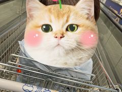 -盒马X会员店(王府井奥莱UP TOWN店)