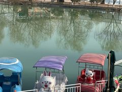 -兴芮温泉度假区