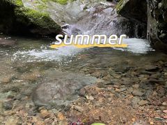 -龙苍沟森林公园