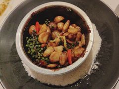 -醉辉皇上海之巅(上海中心大厦店)