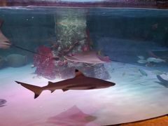 -沈阳海洋探索中心