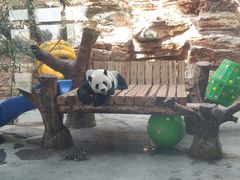 -石家庄市动物园