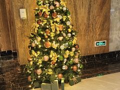 -上海虹桥祥源希尔顿酒店