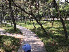 -青岛第二海水浴场