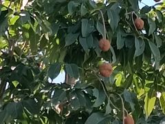-盛世南宫影视城(北普陀影视城)