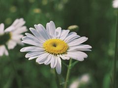 -四里河滨水生态公园