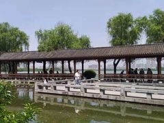 -金银湖国家城市湿地公园