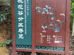 -大屏嶂森林公园