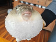 -永安鱼庄·镇江菜(丁卯店)