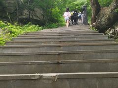 -王顺山国家森林公园