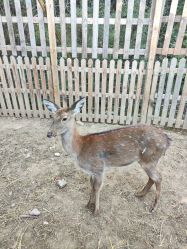 点击看大图 -浅山蜜塘奇妙乐园·亲子营地