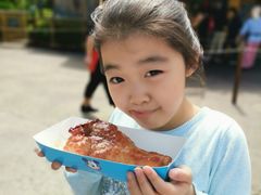-迪士尼火鸡腿