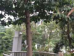 -广州神农草堂中医药博物馆