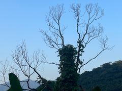 -福清灵石山国家森林公园