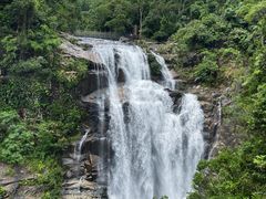 -海南热带雨林国家公园吊罗山景区