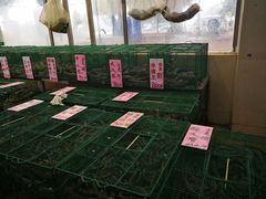 -荔城生鲜盛宴(番禺旗舰店)