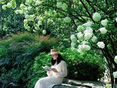 -铁山坪森林公园