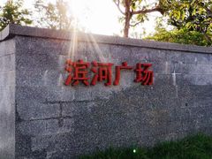 -王借岗森林公园